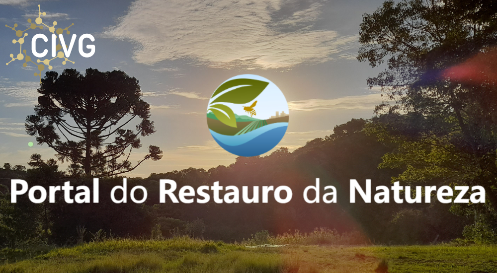 1000x550 px notícias site (1)