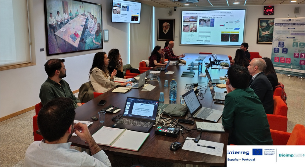 1000x550 px notícias site (1)