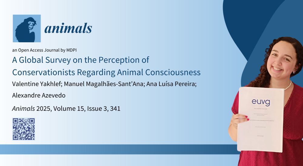 1000x550 px notícias site (2)