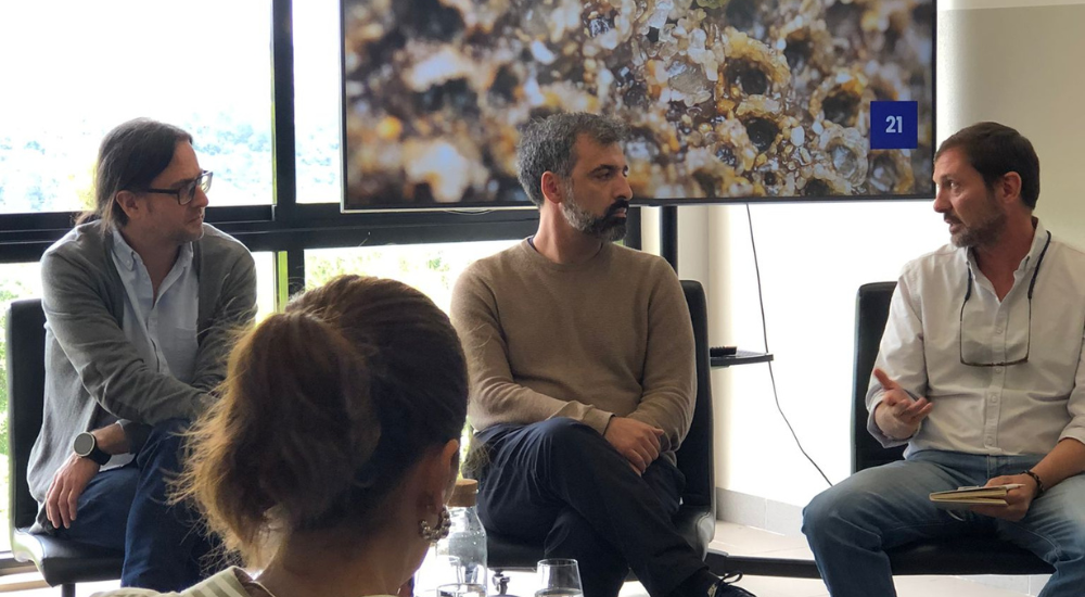 1000x550 px notícias site