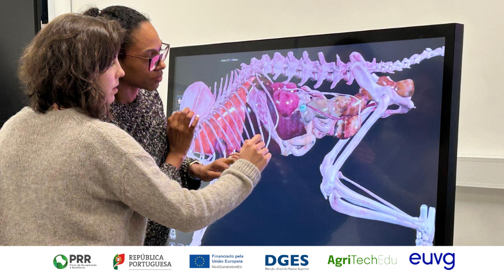 1000x550 px notícias site